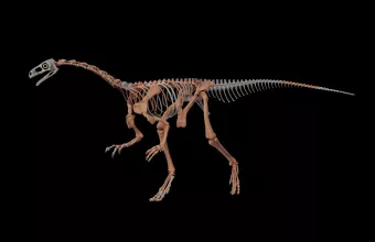 δεινοσαυρος