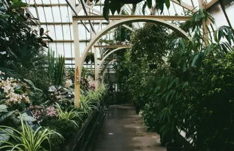 Το πιο επικίνδυνο φυτό