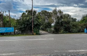 Φοινικούντα