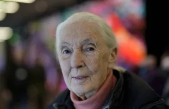 Τζέιν Γκούντολ: Πέθανε η θρυλική ανθρωπολόγος