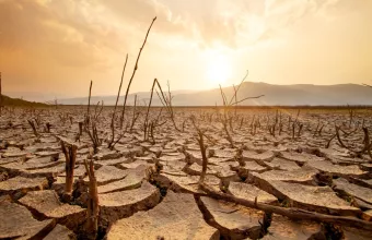 Διψασμένα χώματα