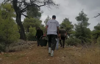 Οικολογικοί διάδρομοι