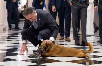 Νταγκ Μπέργκμαν - Πίνατ