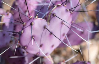 Γιατί θέλουμε όσους δεν μας θέλουν