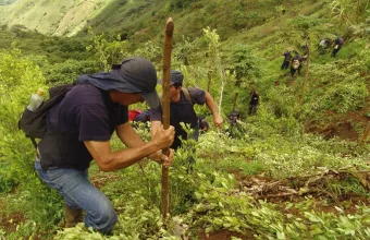Η Κολομβία ξεκινά ψεκασμούς σε φυτείες κόκας υπό την πίεση των ΗΠΑ