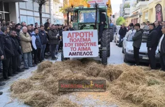 Καρδίτσα 