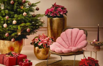 Χριστουγεννιάτικος στολισμός λάθη