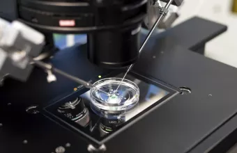 Σπέρμα σε εργαστήριο