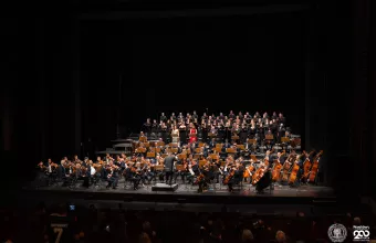 Μεσολόγγι, Μέγαρο