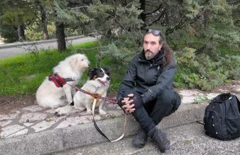 Αγρίνιο: Γάτες και σκύλοι ζούσαν κλειδαμπαρωμένα χωρίς τροφή και νερό σε σπίτι