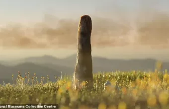 πρωτοταξίτες