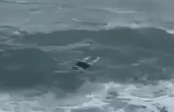 15 πτώματα ξεβράστηκαν στις ακτές της Ιταλίας