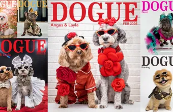 Vogue Vs Dogue