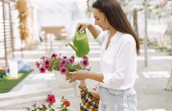 Φυτά και πότισμα