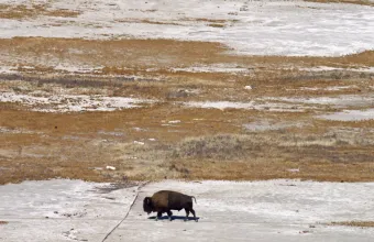 Μεγάλη Αλμυρή Λίμνη