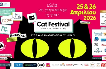 Cat Festival