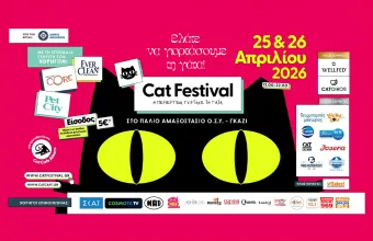 Cat Festival