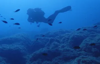 Κατάδυση στη Σκύρο