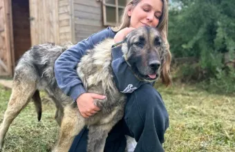 Κατρίνα Τσάνταλη