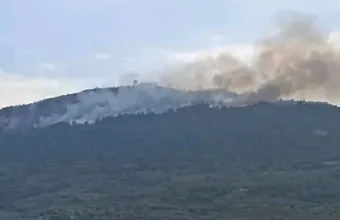 Πυρκαγιά στην Αχαΐα