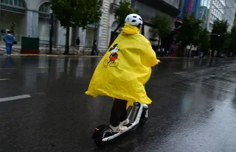πατίνι
