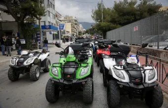 Γουρούνες