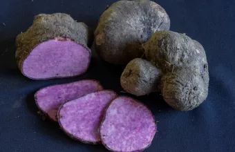 ube