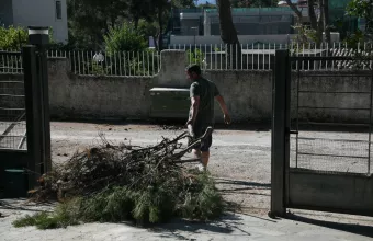 Οικόπεδα