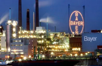 Bayer 