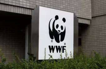 WWF