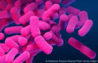 Τα 8 πιο επικίνδυνα βακτήρια στον κόσμο