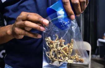 Παραισθησιογόνα Μανιτάρια