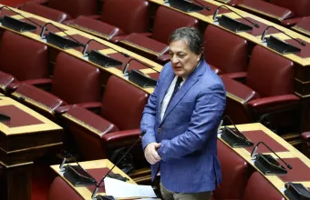 Βουλευτής στην Ολομέλεια