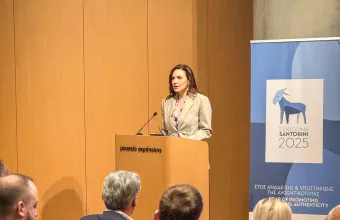 Κεφαλογιάννη