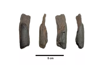 Μεγαλόπολη