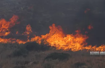 Πυρκαγιές σε αγροτικές δασικές εκτάσεις