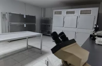 Ιατροδικαστική 