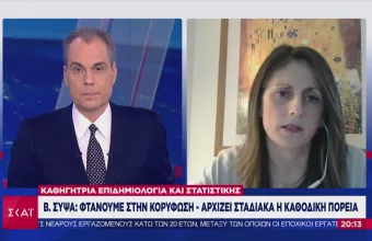 Σύψα στον ΣΚΑΪ: Φτάσαμε σε κορύφωση της καμπύλης- Σύντομα καθοδική πορεία (vid)