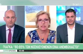 Γκάγκα σε ΣΚΑΪ: ΜΕΘ και κλίνες γεμίζουν με περιστατικά covid- Ασθενείς με άλλα νοσήματα μένουν εκτός