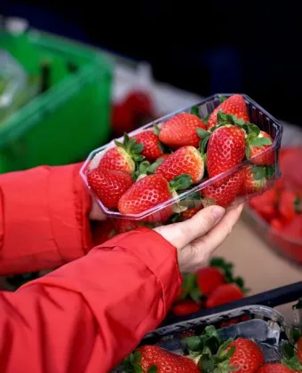 Φράουλες: Τι να προσέξεις όταν τις αγοράζεις