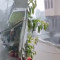 Η κακοκαιρία στο Πήλιο: Σφοδρή καταιγίδα – Πλημμύρισαν δρόμοι