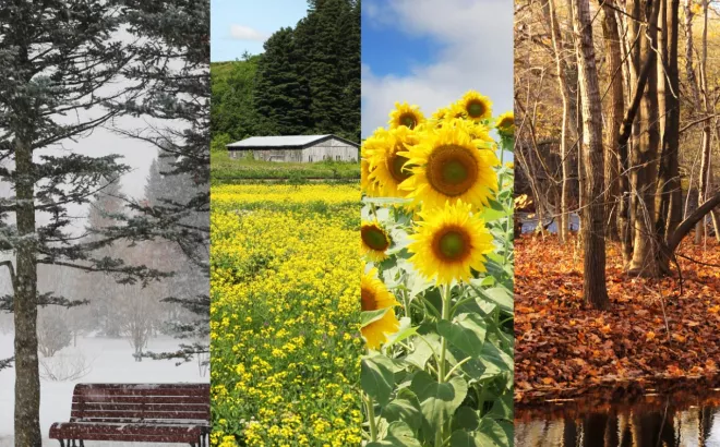 Τοπικές βροχές και σποραδικές καταιγίδες σήμερα  Τετάρτη , αύριο Πέμπτη και την Παρασκευή. Πτώση της θερμοκρασίας την Πέμπτη.  