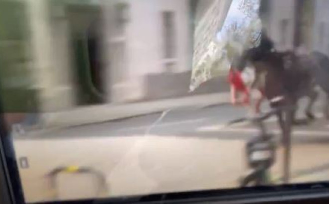 Σκηνές χάους στο Λονδίνο - Άλογα τρέχουν ελεύθερα στο κέντρο της πόλης - Δείτε βίντεο