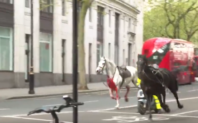 Σε σοβαρή κατάσταση δύο από τα άλογα που έτρεχαν ανεξέλεγκτα στο κεντρικό Λονδίνο