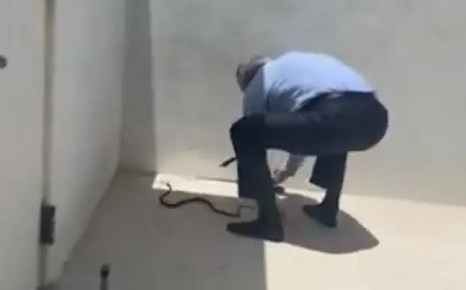 Κένεντυ