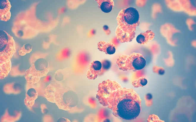 Καρκινικά κύτταρα