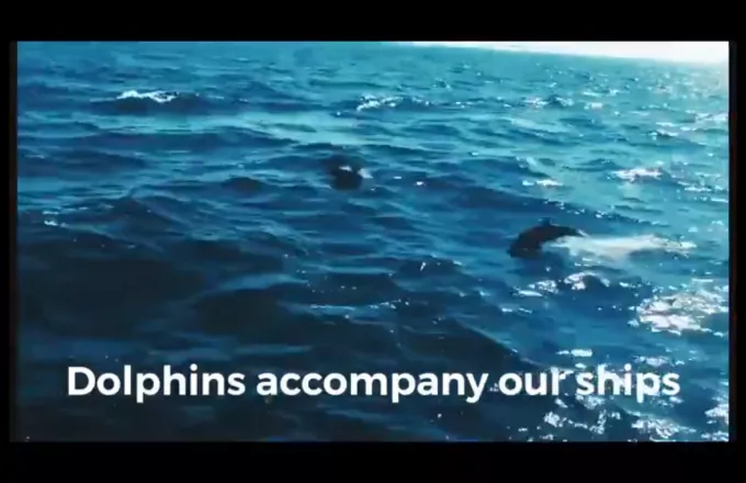 Τι απαντά η Τουρκία για τα νεκρά δελφίνια κατά την άσκηση «Γαλάζια Πατρίδα»
