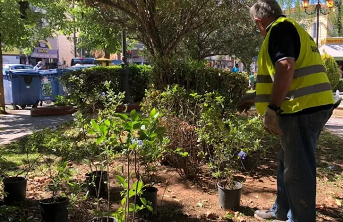 Δήμος Αθηναίων: Δράσεις ενίσχυσης πρασίνου, φωτισμού και καθαριότητας (VIDEO)
