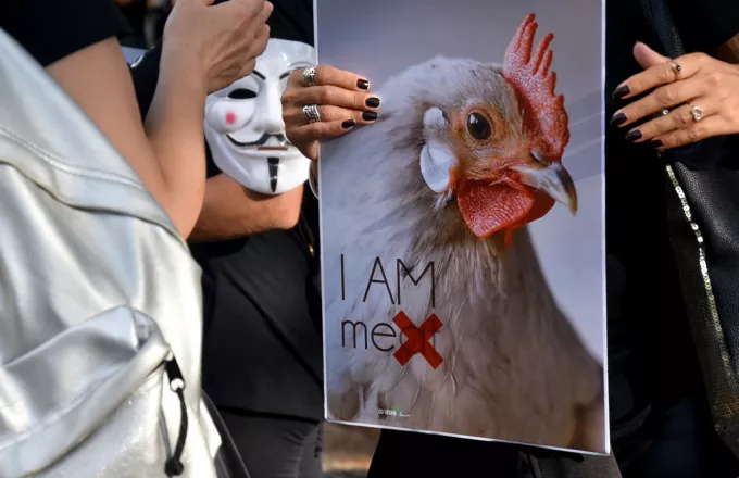 Πορεία για τα δικαιώματα των ζώων στην Αθήνα (pics)