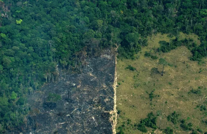 Αποκαρδιωτικά τα στοιχεία για την αποψίλωση του Αμαζονίου